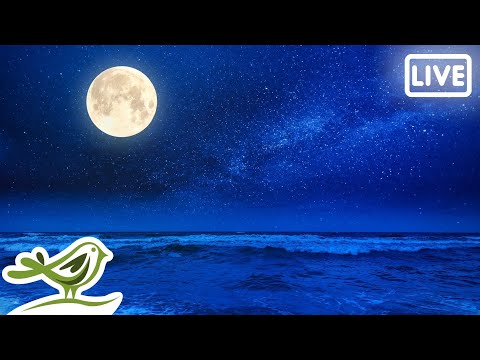 relaxing-sleep-music-24/7-•-fall-asleep,-stress-relief,-ambient-meditation-music