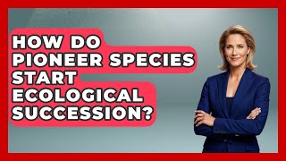 How Do Pioneer Species Start Ecological Succession? - Explaining Ecology