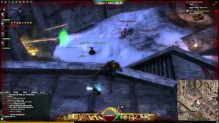 Gate Glitch in Guild Wars 2