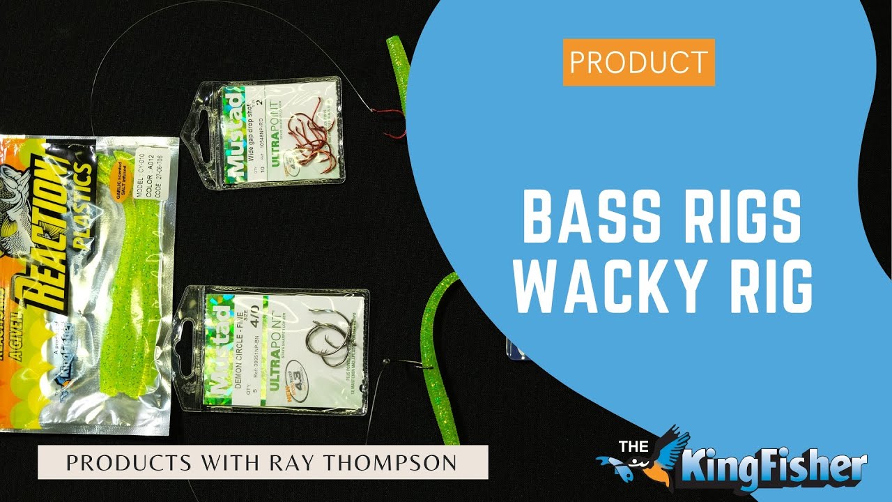 Bass Rigs Wacky Rig - YouTube