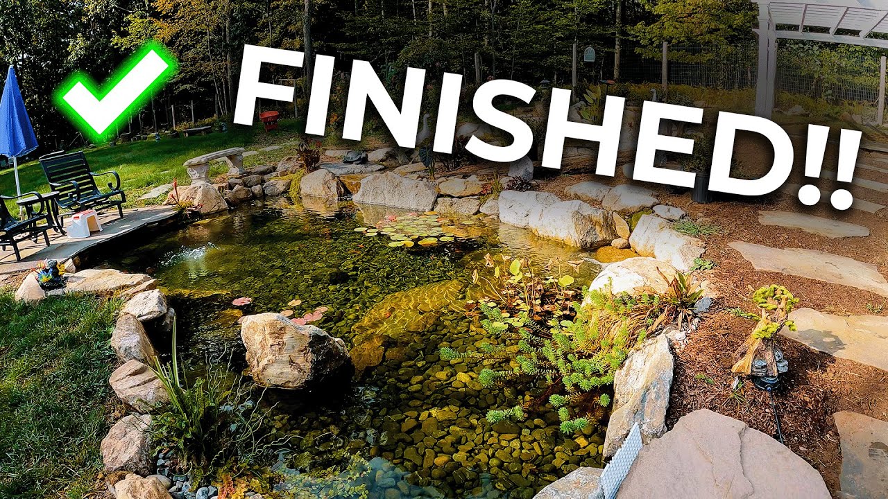 It's so surreal yet so natural! | The PARADISE POND Reveal!