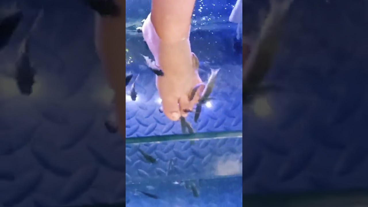 pleasured message🐟🐠