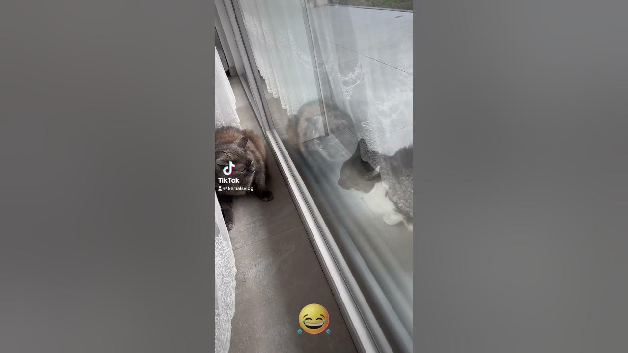 Erst Angriff dann Rückzug 😂 YouTube