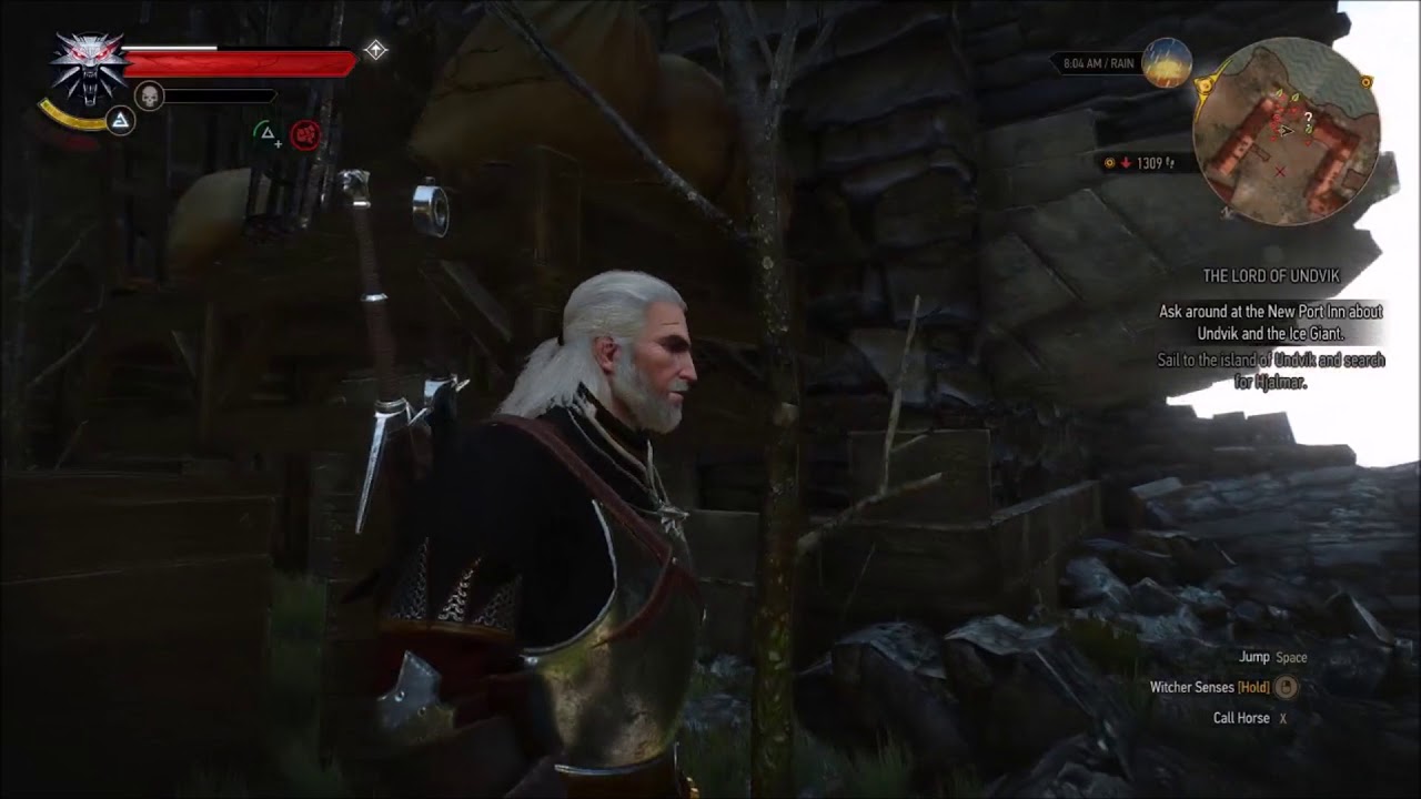 Let's Play The Witcher 3: Wild Hunt Blind Part 166