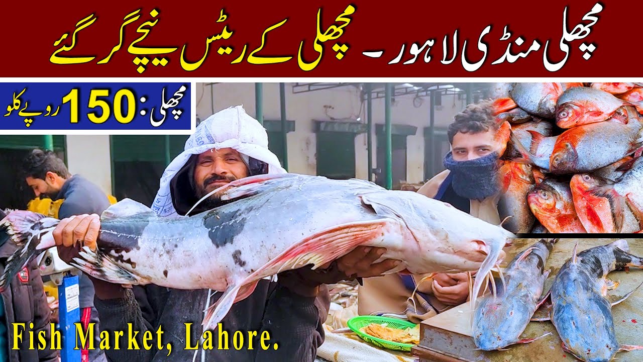Fish Market |