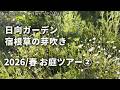 《お庭ツアー2026／春②》日向ガーデン／宿根草、一年草の芽吹きを確認／草マルチ・雑草と共生する庭