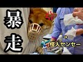 【大騒動】普段はニコニコ陽キャ柴犬が、病院で大暴れしてしまいました