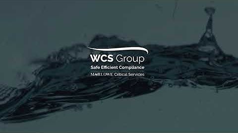 WCS Group Client Portal - Part 1