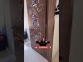 2bhk flat for sale in with price sb road#flat#home