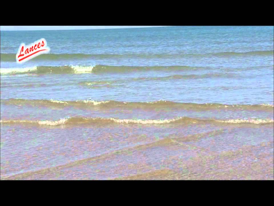 SURFCASTING HUMBERTO GACIO-DORADAS A SURFCASTING FINESSE