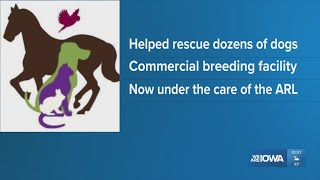 ARL, authorities help rescue dozens of dogs from Washington County commercial breeding facility