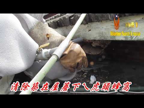 清除築在屋簷下ㄟ虎頭蜂窩070918