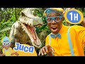 Juca aprende tudo sobre dinossauros  1 hora do juca brasil s educativos em portugus