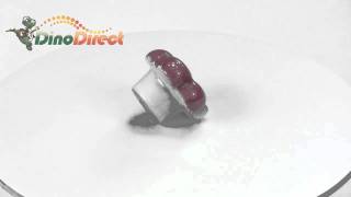 Cherry Pattern Ceramic Drawer Pull Handle Knob  from Dinodirect.com