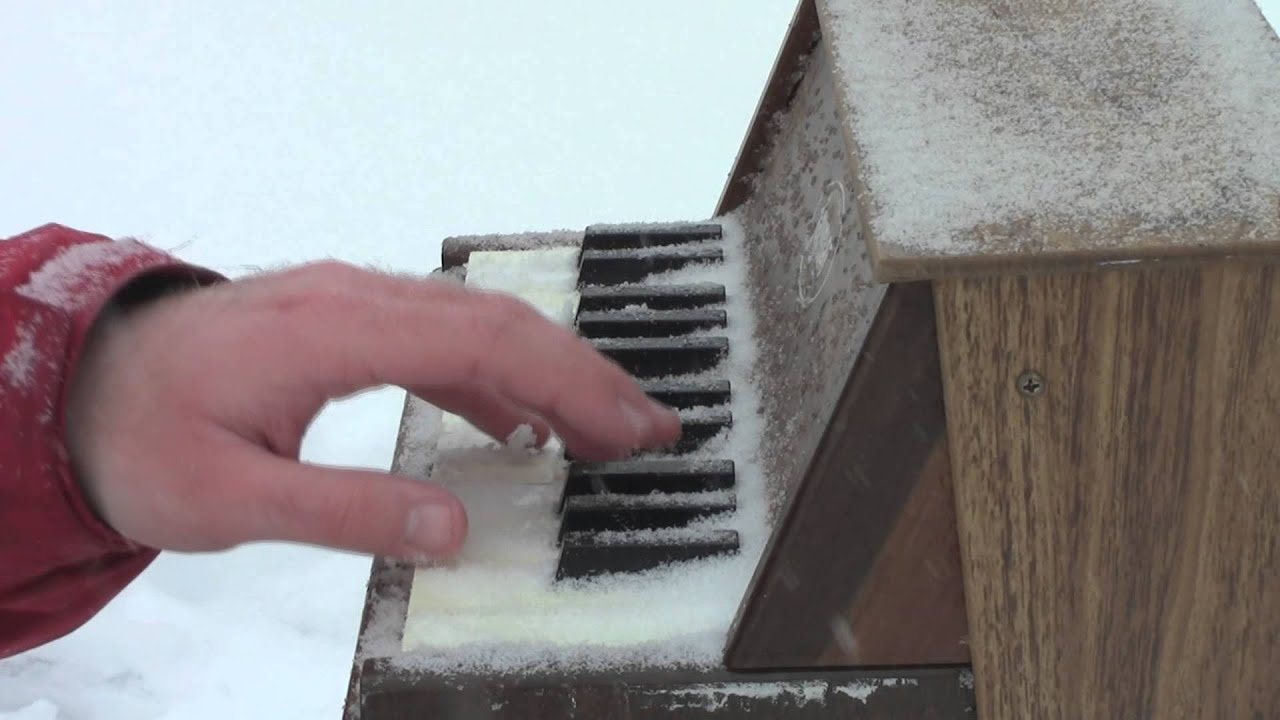 Jingle Bells on Toy Piano YouTube