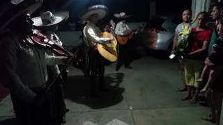Mi primer amor ! Mariachi viva mexico nueva generacion 2017 cumple de mi mamá