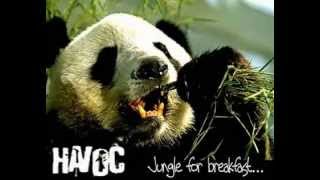 Havoc - Jungle For Breakfast