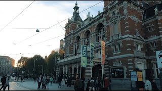 IDFA 2022 | Professionals report