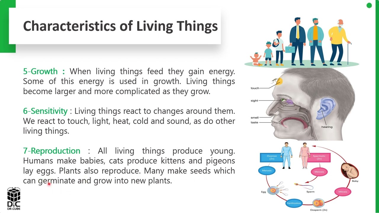 Biology Lec.1 Introduction لطلاب المرحلة الاولى