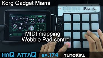 KORG Gadget MIAMI │ Wobble Pad control MIDI mapping - haQ attaQ 174
