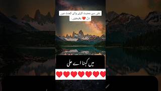 Imam Shafi'i Ne Kaha Agar Ali Ki Muhabbat... 🥺✨ #shorts #ahlebait