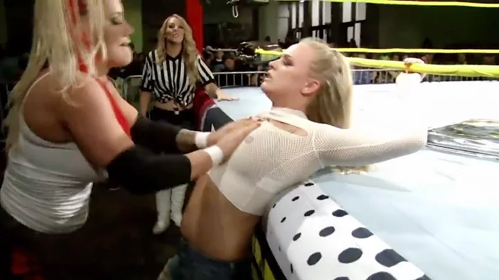 WWE Girls Fight Clip  | New Real Fight