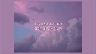 [ 가사 해석 ] 트로이 시반 (Troye Sivan) - BITE ｜ 밍뭉 자막 채널 가사 해석 ☪︎