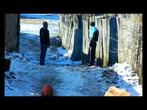 ტყემლოვანა ზამთარი