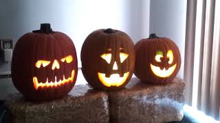 Halloween history and traditions. ESL/ESOL A1-A2 educational video