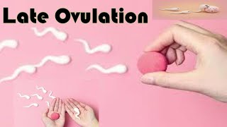 Late Ovulation : Causes, Treatment and Effects on Fertility