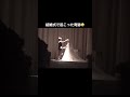 結婚式で起きた奇跡🤣