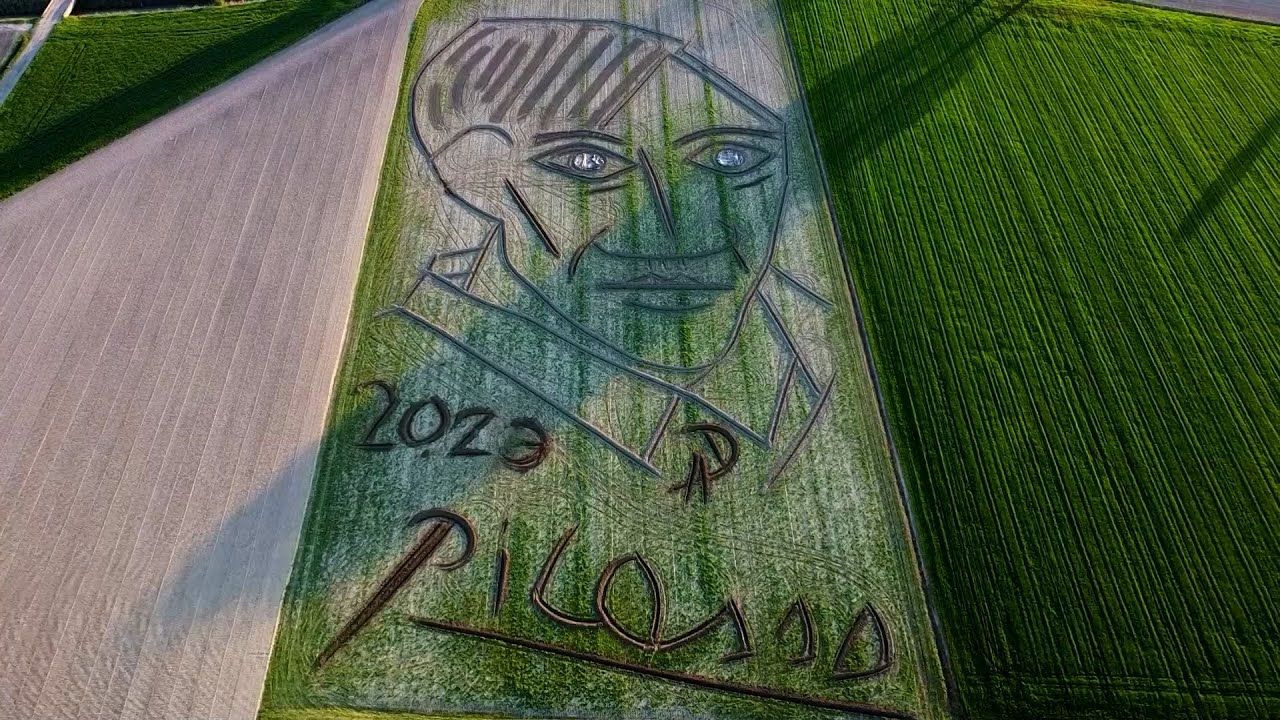 Italian artist pays tribute to Picasso with massive land art