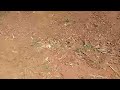 Nimuze Mwigurire Ahahantu Hatarabacika Nimiturire Hafite Ubuso Burenga 2000 Nibumbogo 0791888793 Nimuze Mwigurire Ahahantu Hatarabacika Nimiturire Hafite Ubuso Burenga 2000 Nibumbogo 0791888793