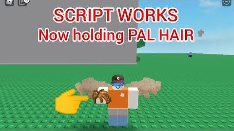 FE HOLD ACCESSORIES - VERY OP SCRIPT - played at Roblox FENCING game - see script link on comments