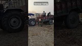 Lalit Vdsmonkey2228 Vladikoladik2222 Shfa2 Mrbeast2 Gogo2728