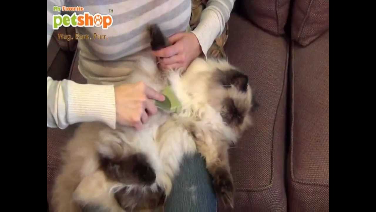Safari Shed Magic for Cats Hair Removing YouTube