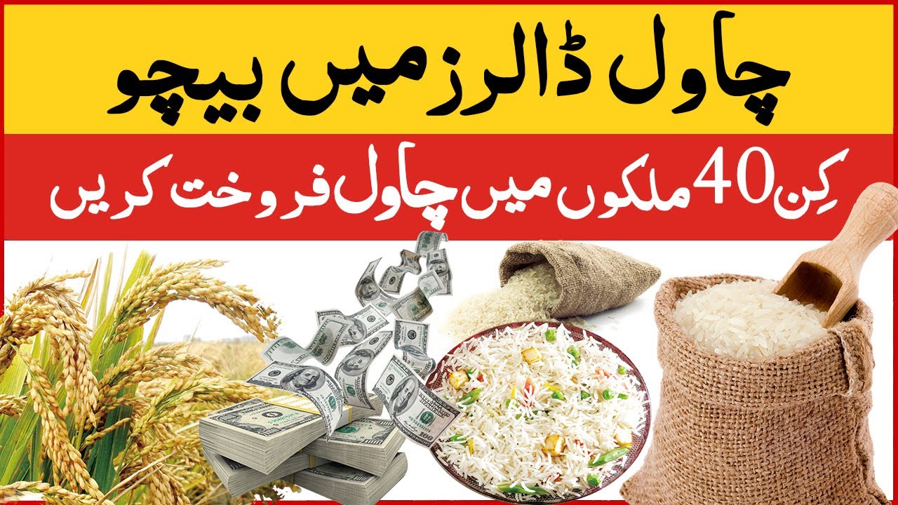 Earn Dollar by Selling Rice to Top 40 Countries - International Rice Market 