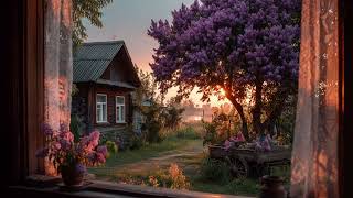 the beauty of a peaceful life 🌿 | soft piano for quiet and calm moments screenshot 4