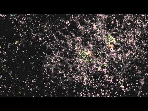 Космос. Вселенная. Галактики. Звёзды. Планеты.