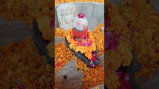 Har Har Mahadev 🙏🔱🌿❤️🕉️ #trending #viral #explore #exploreshorts #mangalkarihanumanmandir