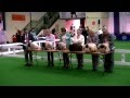 Midland Counties Ch.Show 2013, Jidoran Billy Black, All Unbeaten dogs (Males)