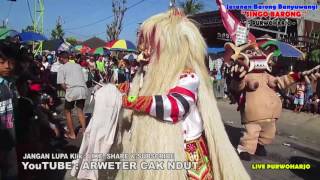 Jaranan Buto Singo Barong Purwoharjo Live Purwoharjo Kolaborasi Rangde, Barong Celengan, Macan