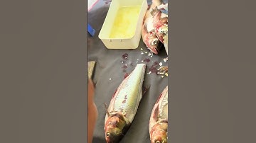 cách lọc cá mè ăn gỏi #goica #locthitca