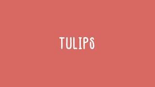 Tulips  Kasper s 