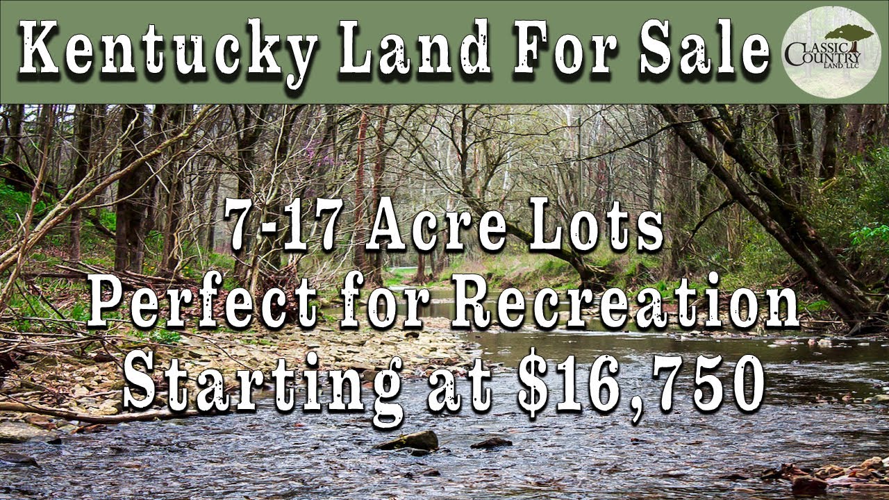 Kentucky Land For Sale Chestnut Oak Ridge Rockcastle Co., KY YouTube