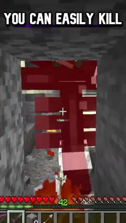 How To EASILY KILL The Wither... 😱 #minecraft