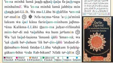 ختمة من مصحف التجويد باللغة الألمانية الصفحة رقم 11
