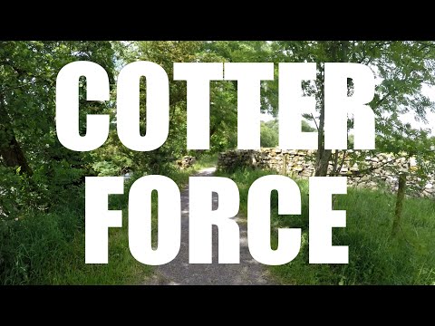 Cotter Force