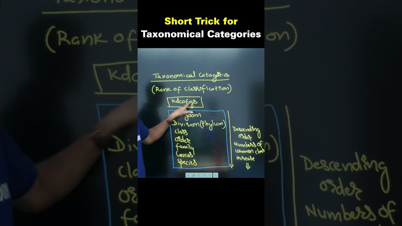 Trick for Taxonomical Categories 