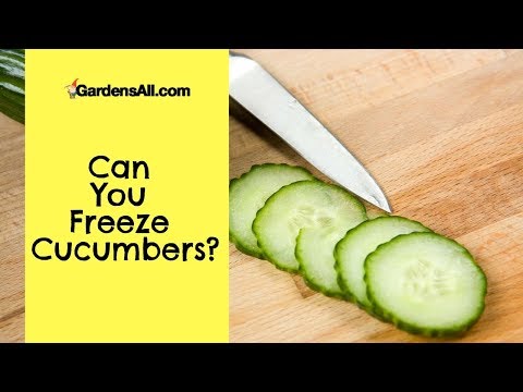 Can You Freeze Cucumbers Gardensall